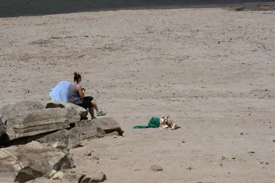 DSC_3185 (Large).JPG